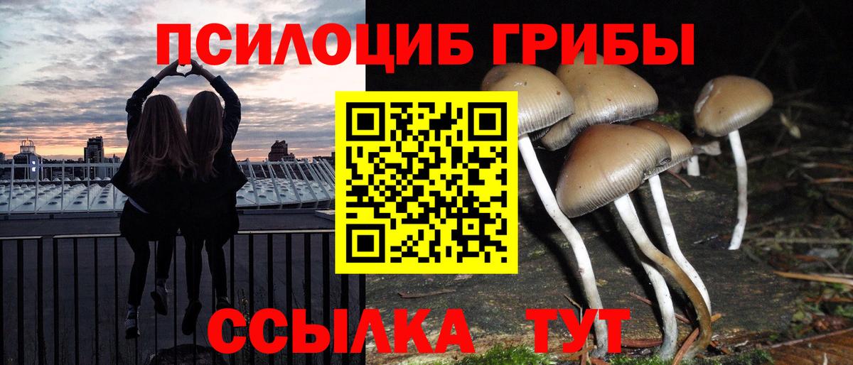 Псилоцибиновые грибы Psilocybine cubensis  Вход с VPN  Набережные Челны 
